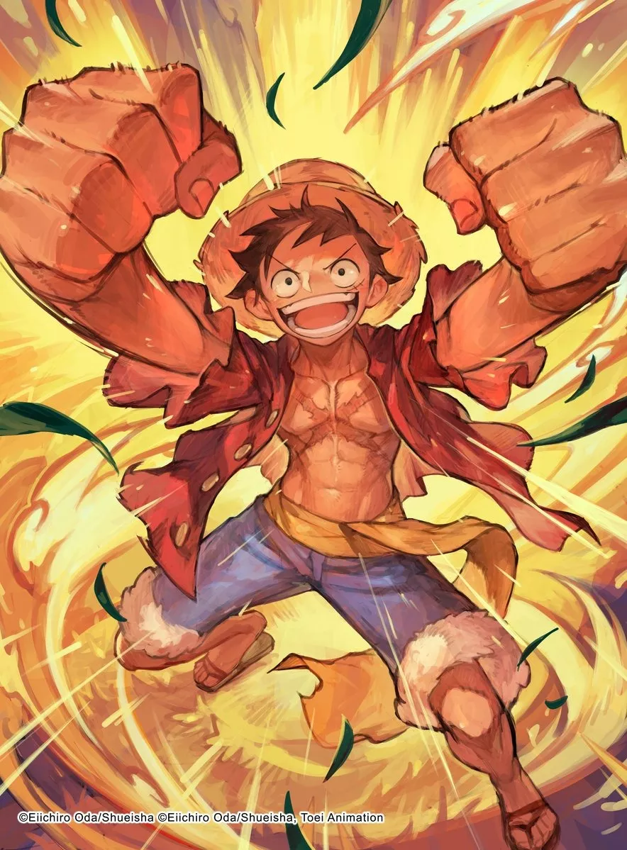 Tournoi One Piece